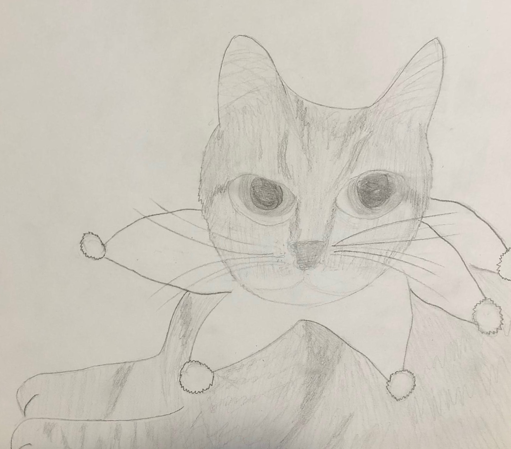 A dubiously drawn cat.